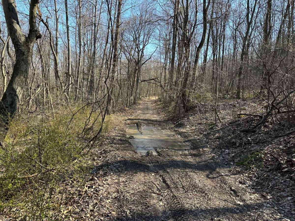 Tower City 4 trail photo