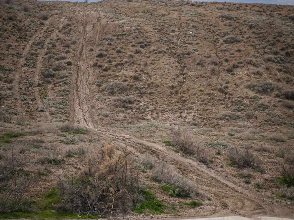 Landfill Ridge trail photo