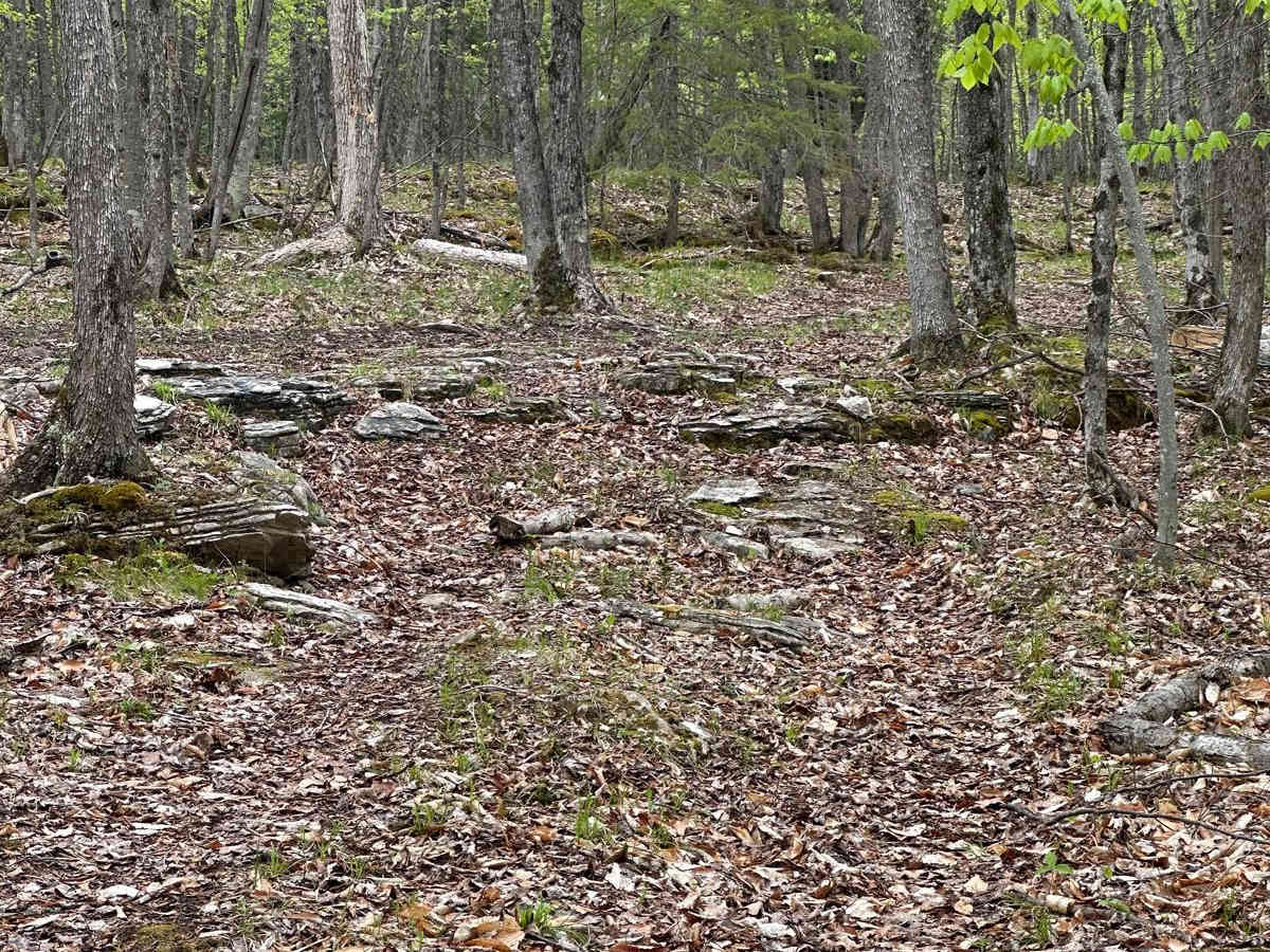 Quarry B photo 5