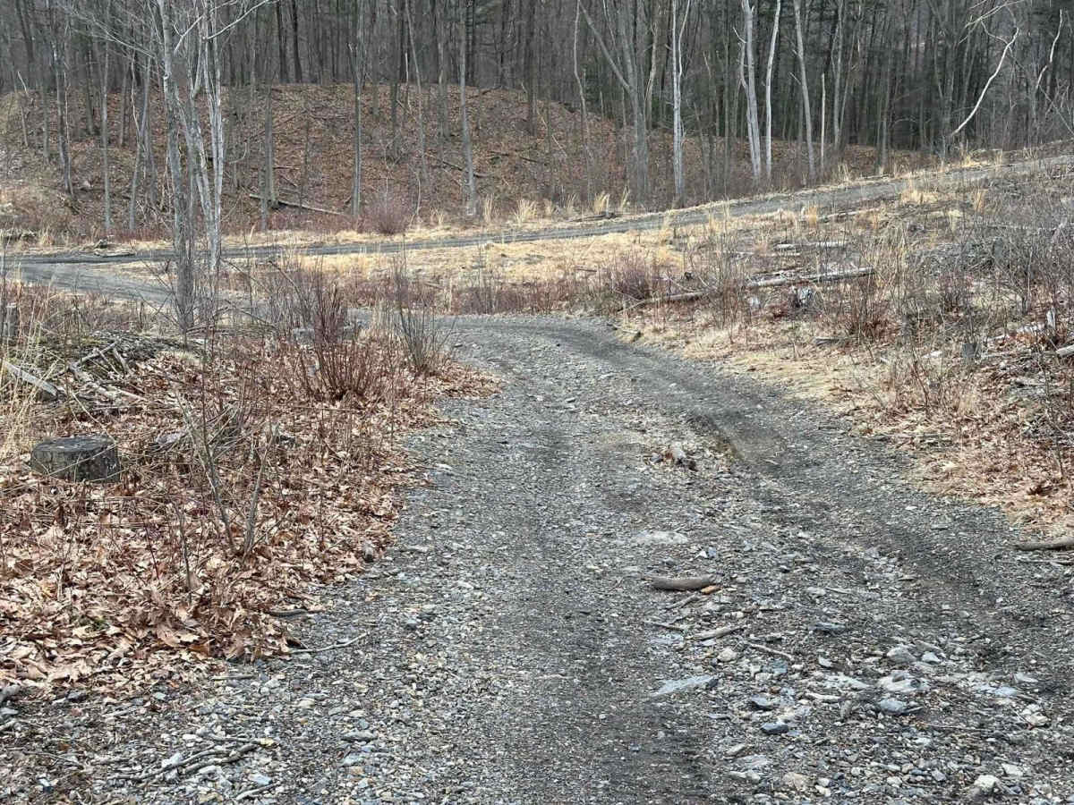 Ashland 67 trail photo