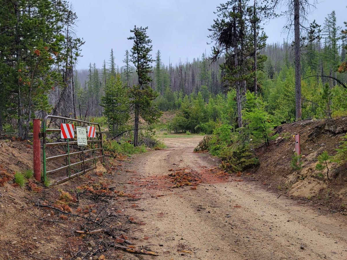 Forest Crossing trail photo