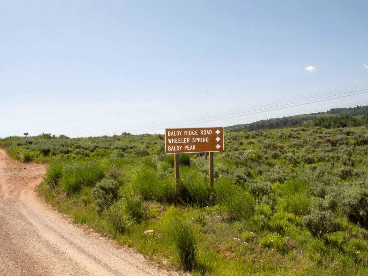Baldy Wheeler Road photo 4