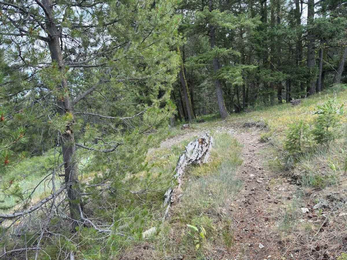 Andrews Creek Dirt Bike photo 5