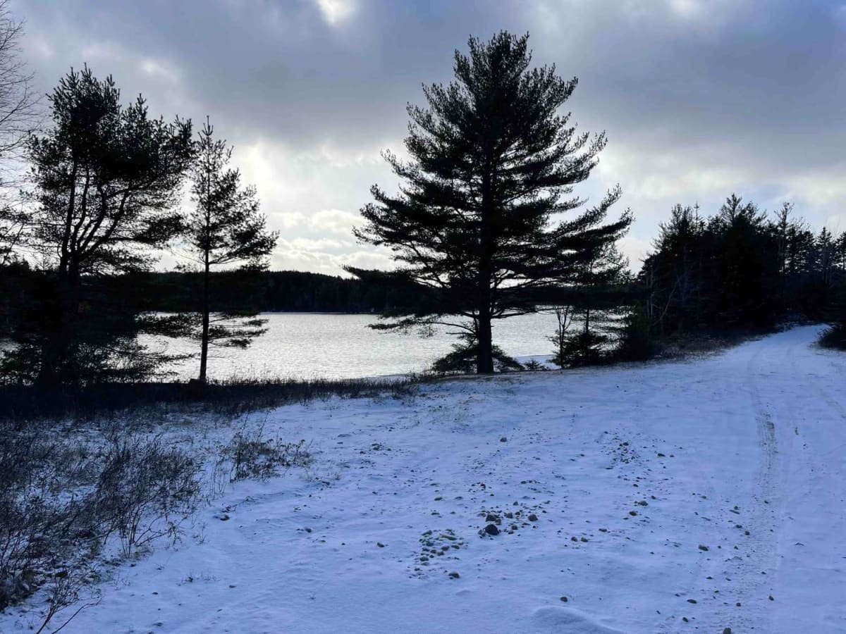 East River Road photo 5