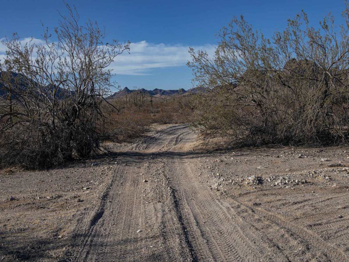 Morning Star Mine photo 3