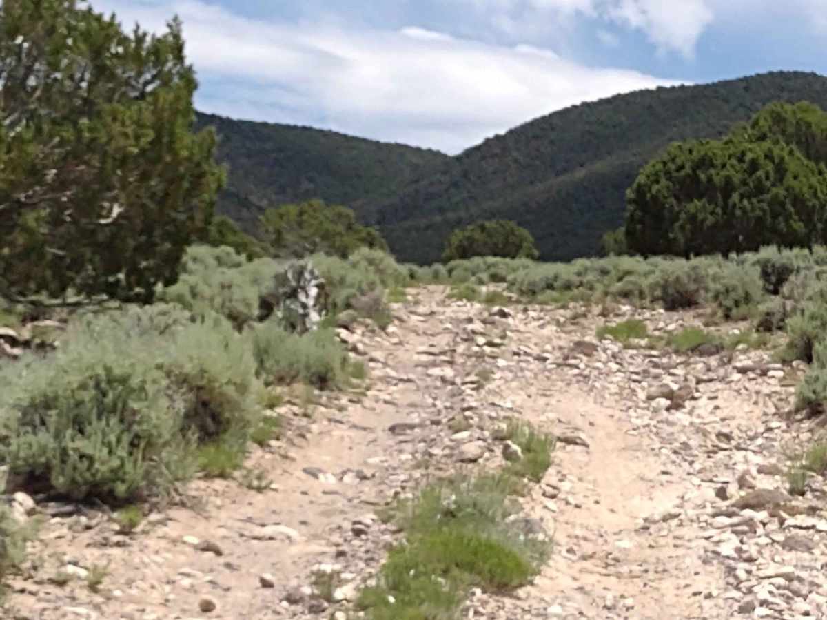 Channel Your Inner Billy Goat photo 5