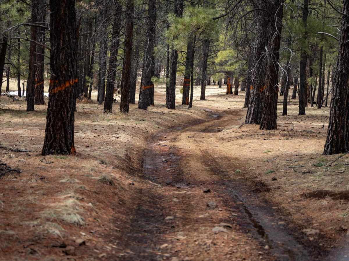 Elk Run photo 3
