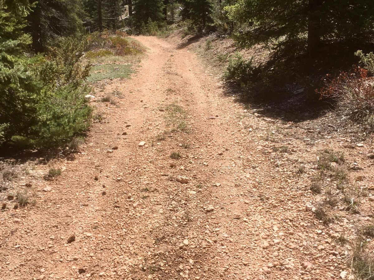 Dairy Hollow ATV Trail photo 5