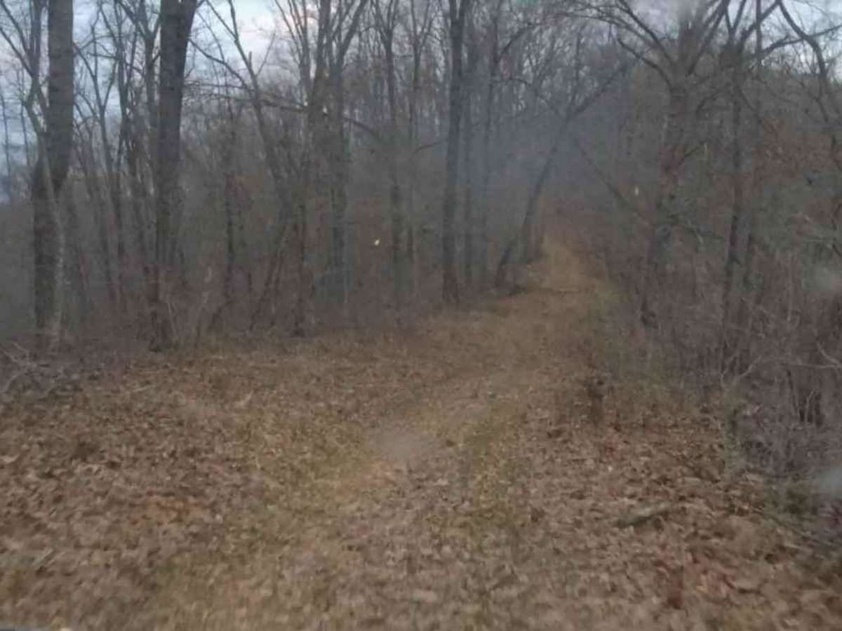 Turkey Leg Hill trail photo