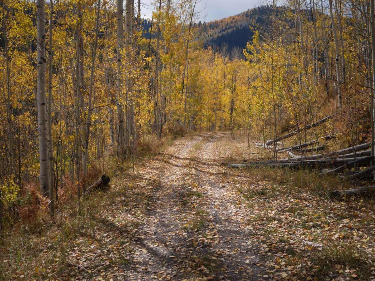 Old Owl Creek ATV photo 2