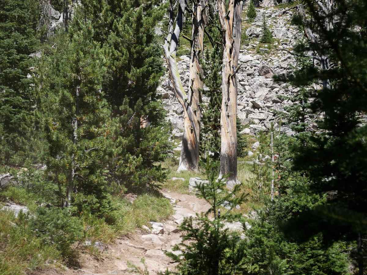 Hidden Lake Divide #66 photo 6