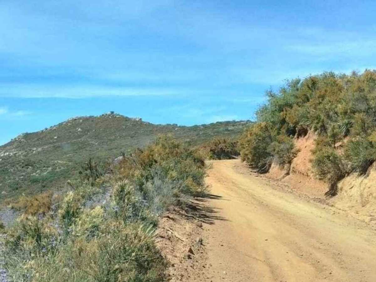 11S03 Lusardi Truck Trail photo 6