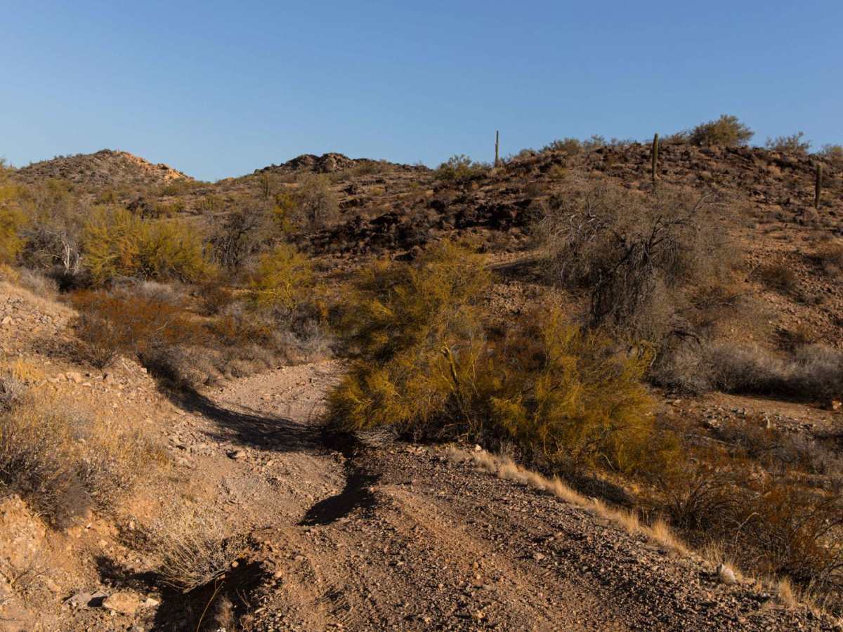 24012 Trail photo 2