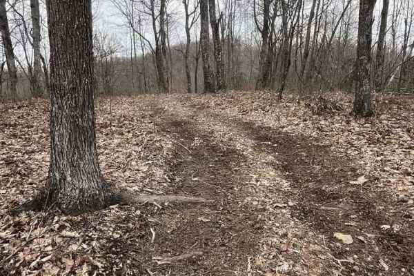 Trail 4