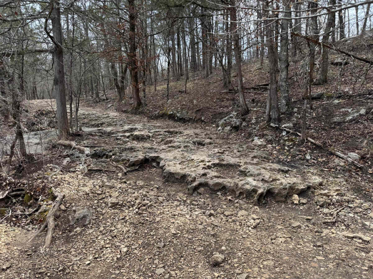 Gary Hollow - FSR 510A photo 4