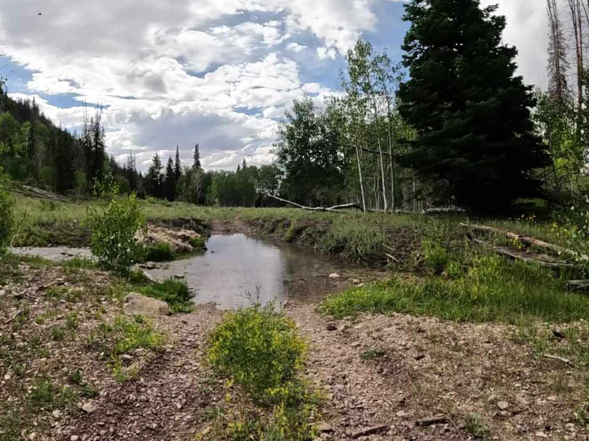 Harmon Trail photo 4