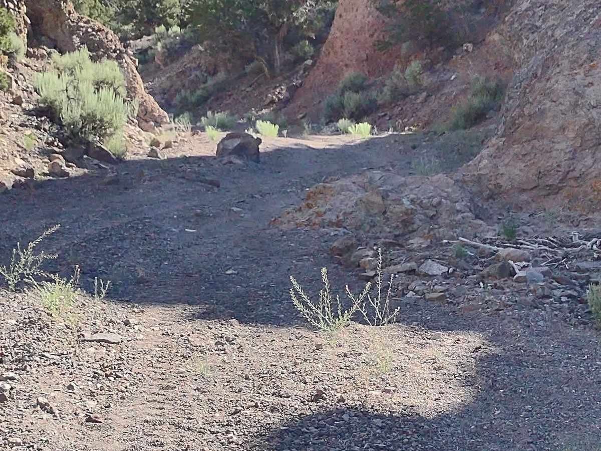 We're In A Tight Spot - BLM 5145 photo 2