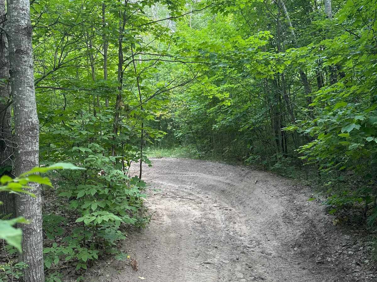 Hulbert Road photo 5