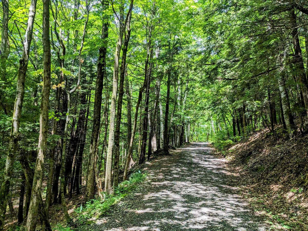 Greylock Road photo 6