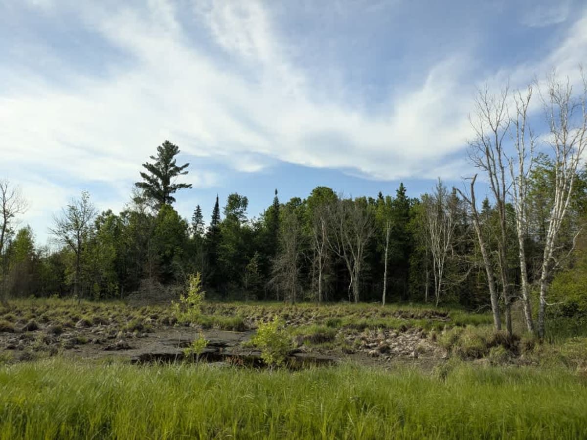 County Road 33 photo 5