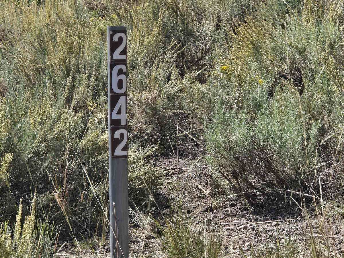 FSR 42642 To 40454 trail photo