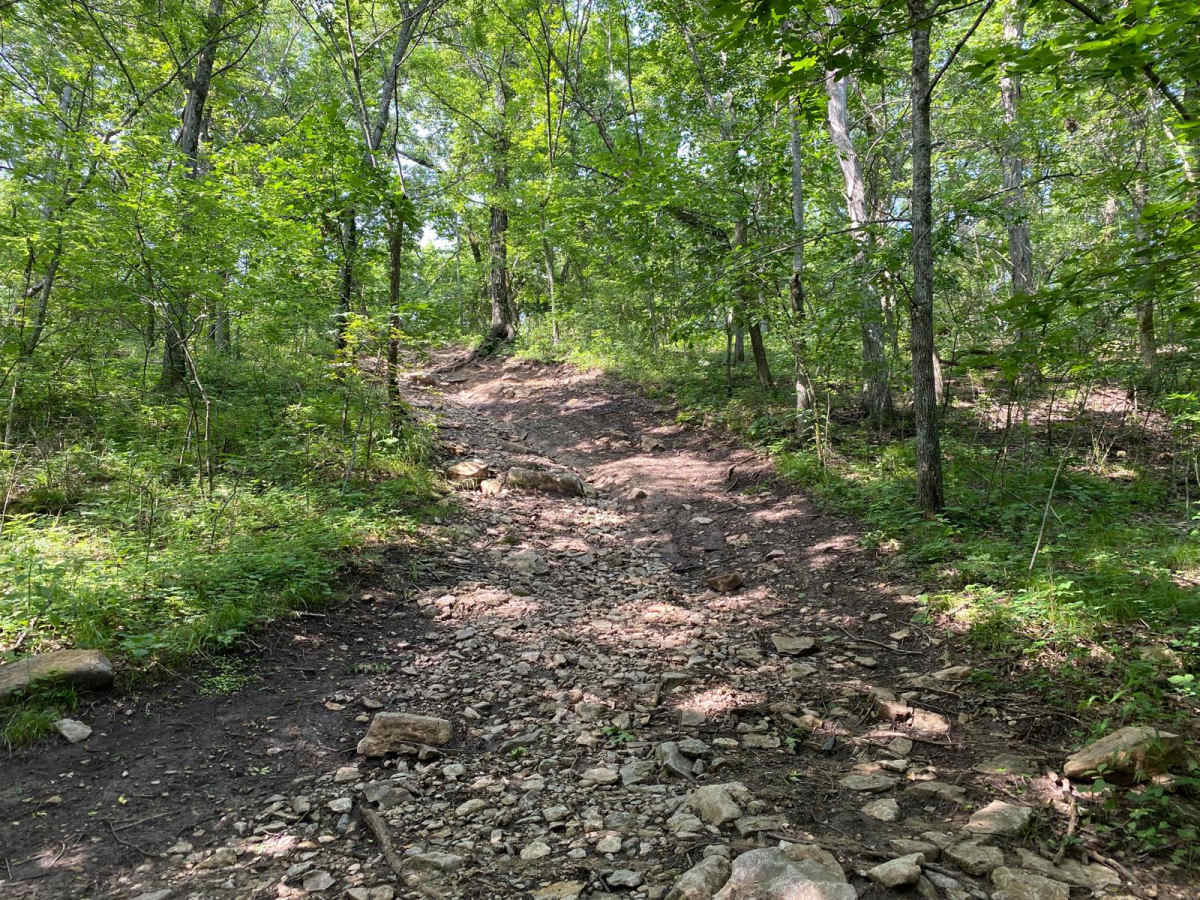 No Name Blue trail photo