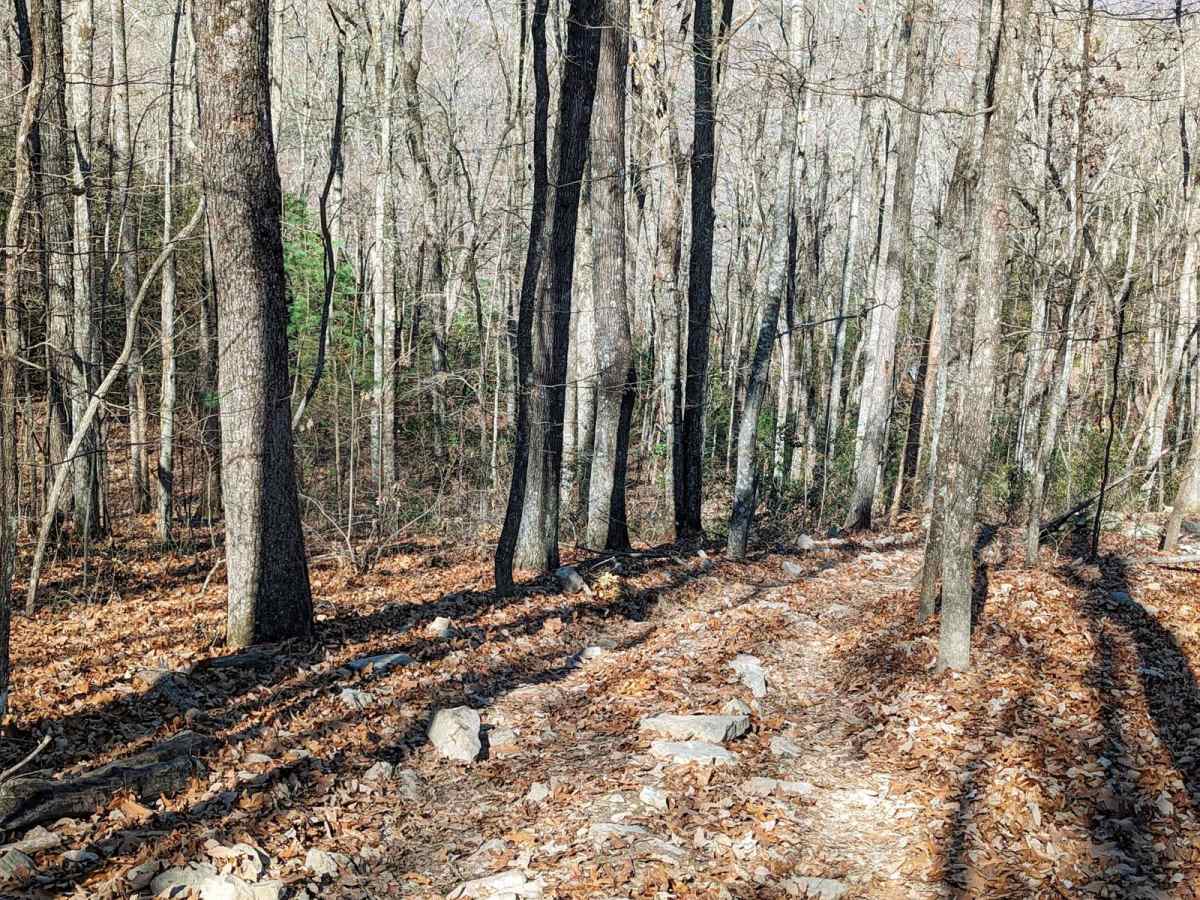 Walden's Ridge Bypass Trail 75a photo 3