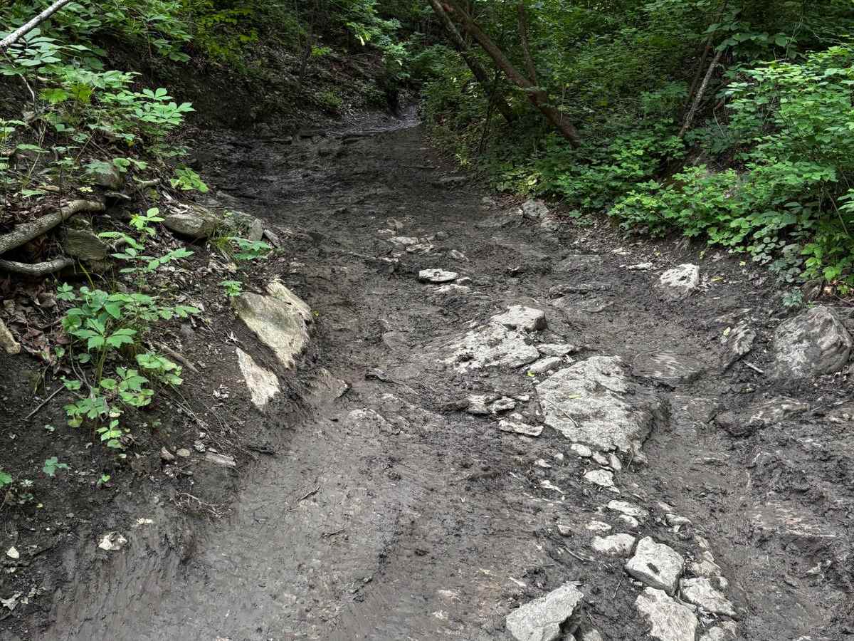 Rattleback 80 photo 3