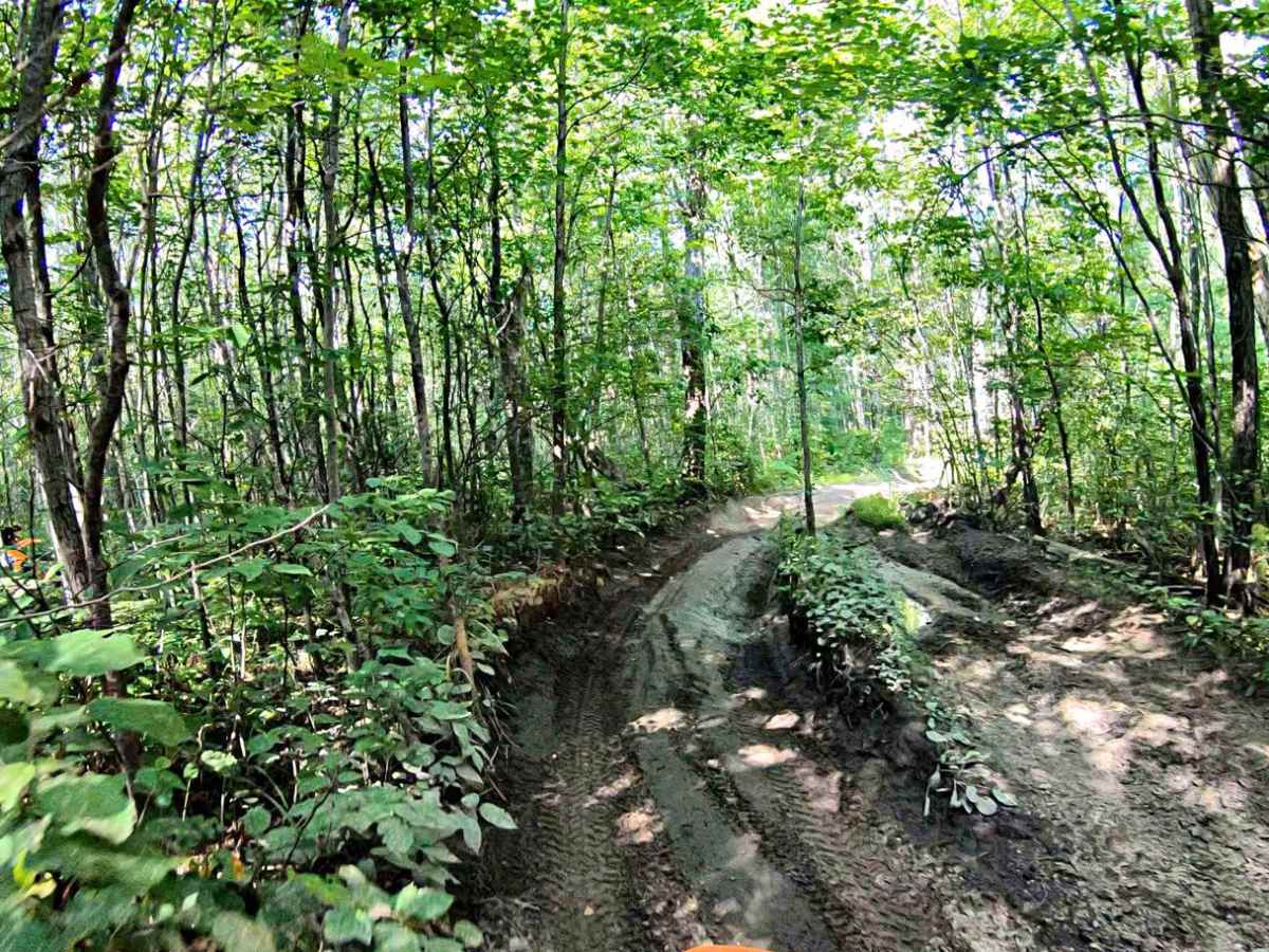 Little Leota Trail photo 3