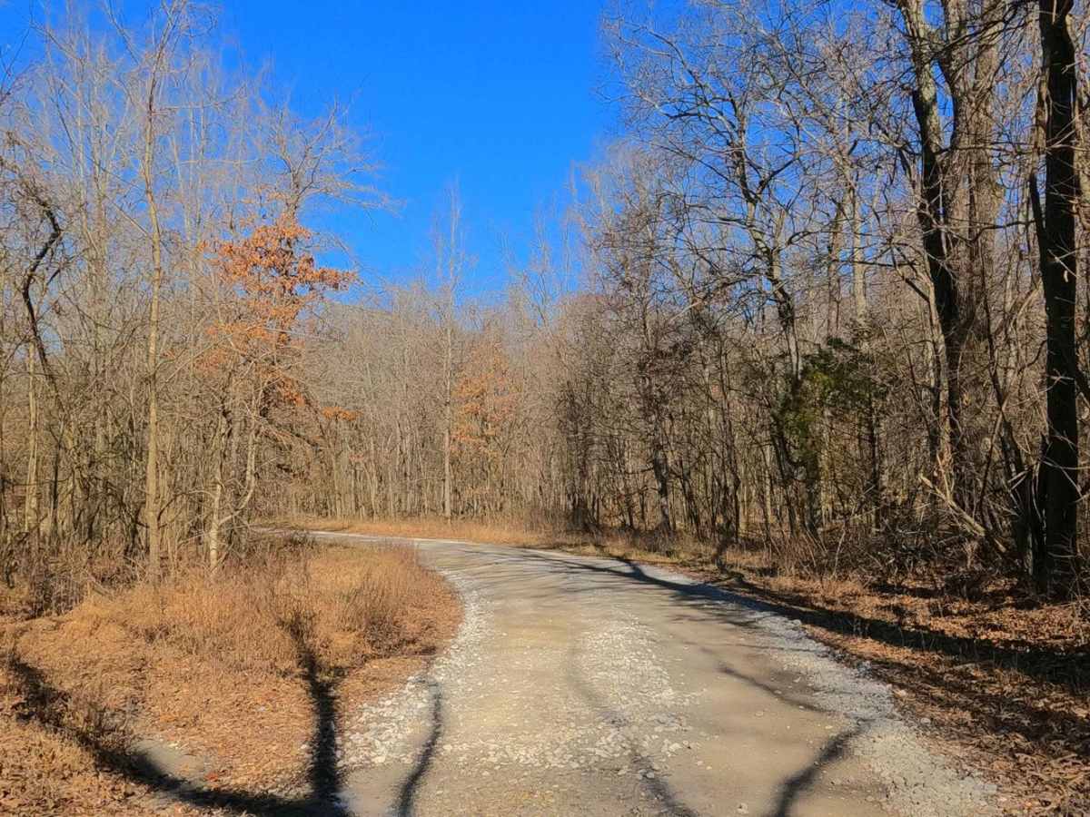 Smith Cemetery Road - FS 120 photo 4