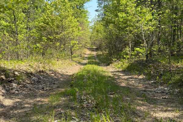 County Meadow Trail