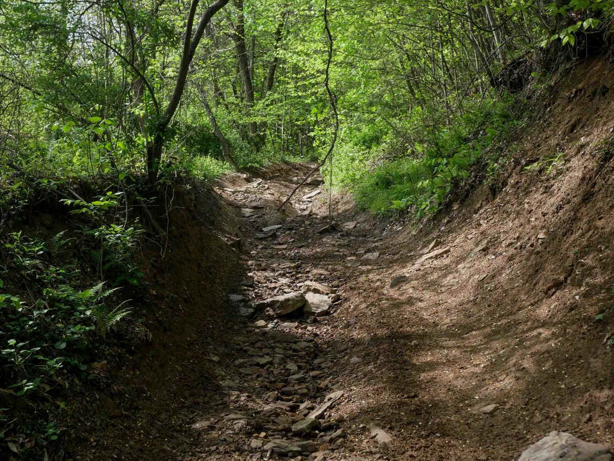 PC 92 trail photo