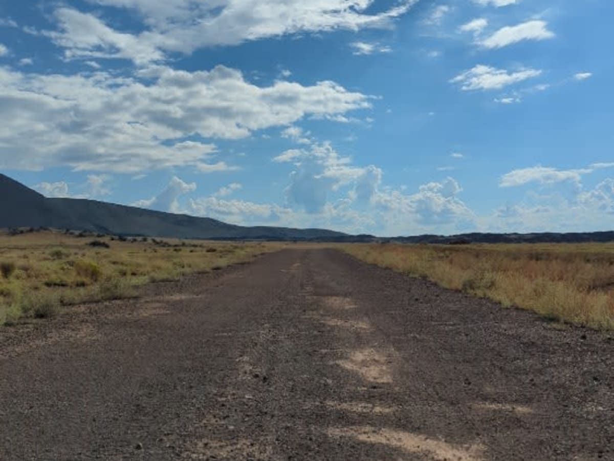 Tub Ranch Road to FS 417 photo 2