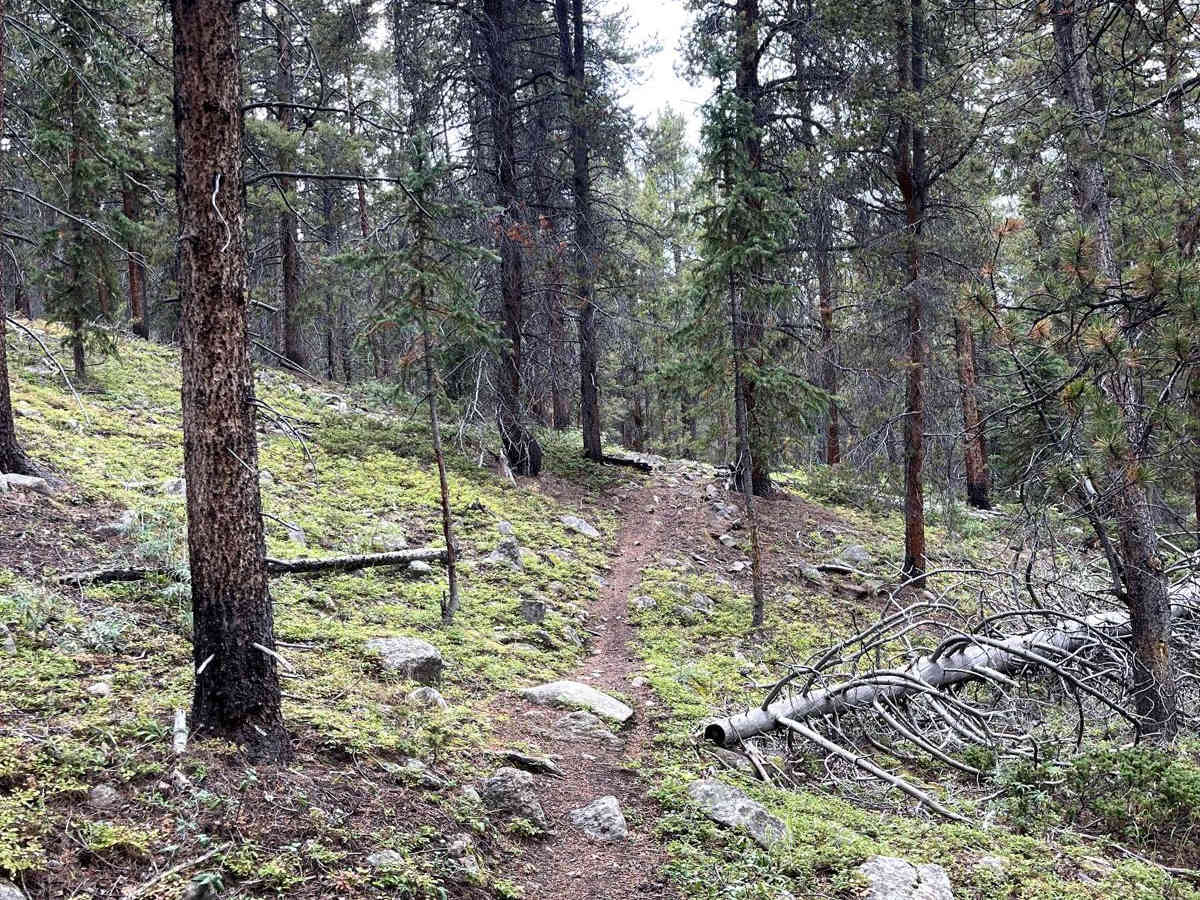Willow Mine Trail photo 6