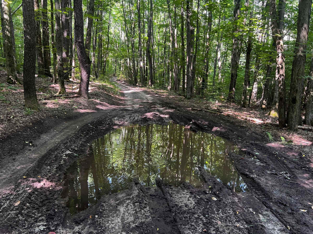 NFS 5158 trail photo