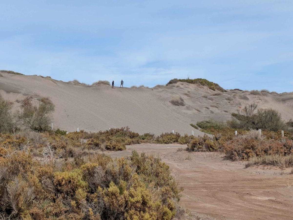 Dunas del Mogote West photo 3
