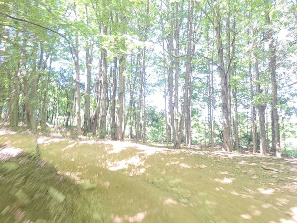 Jones Town Creek photo 5