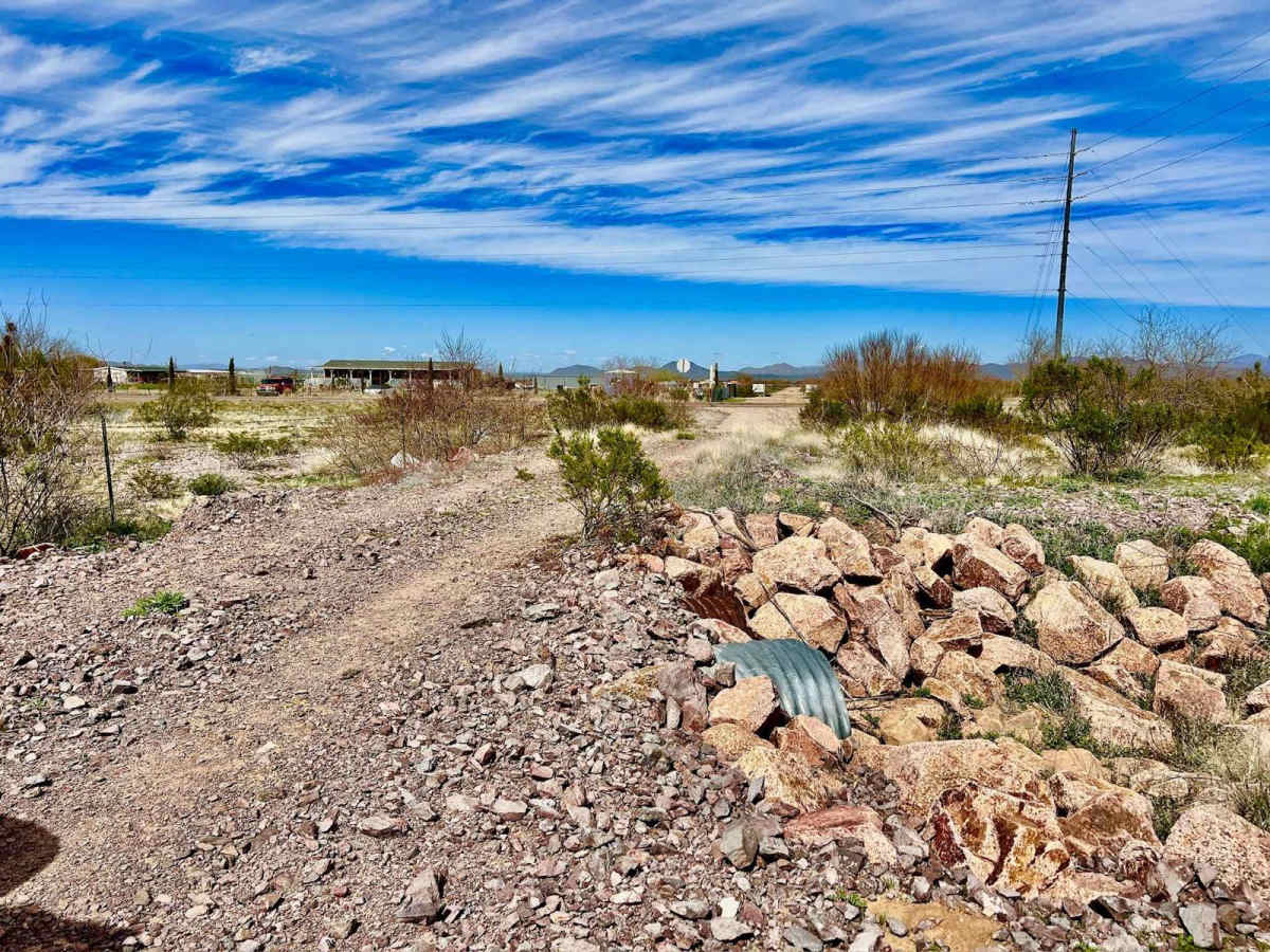 Sunshine Mine photo 3