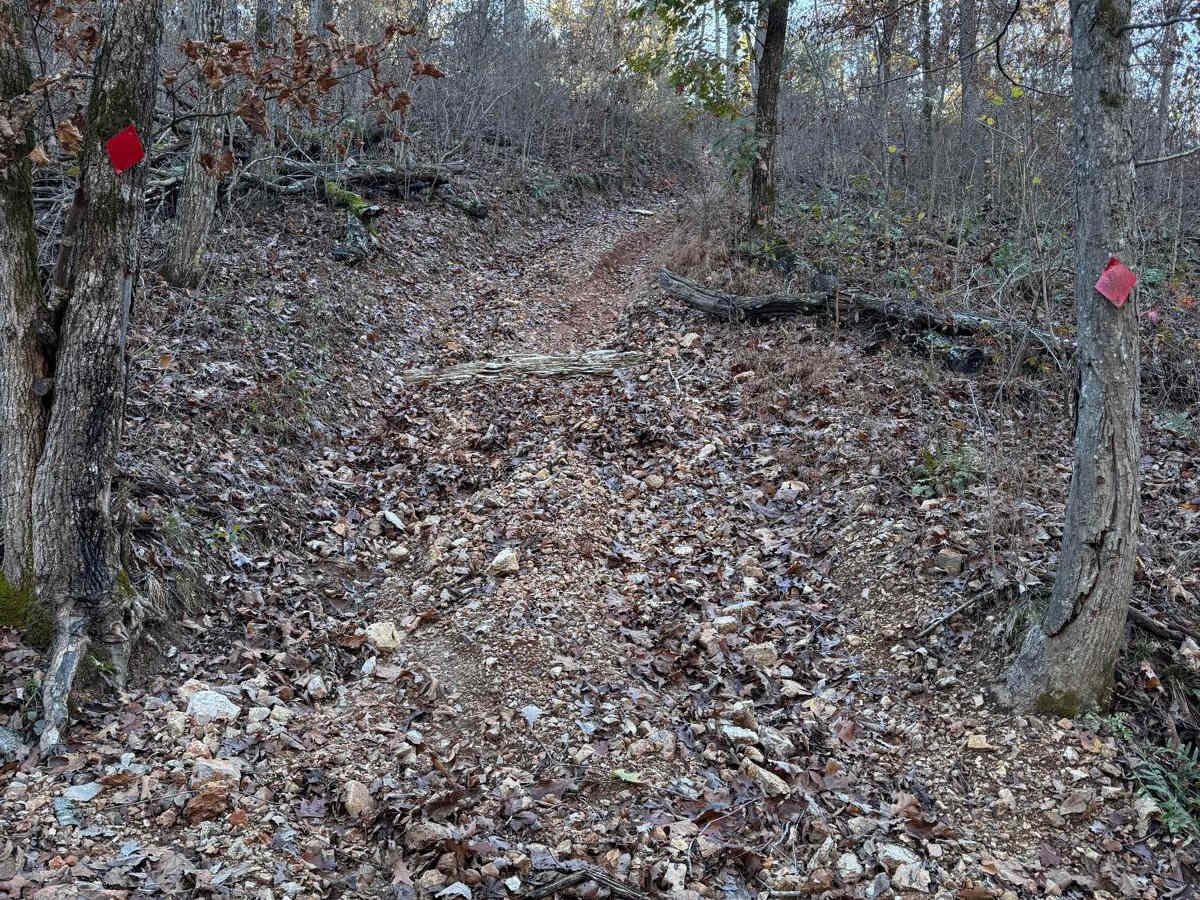 Red 145 trail photo