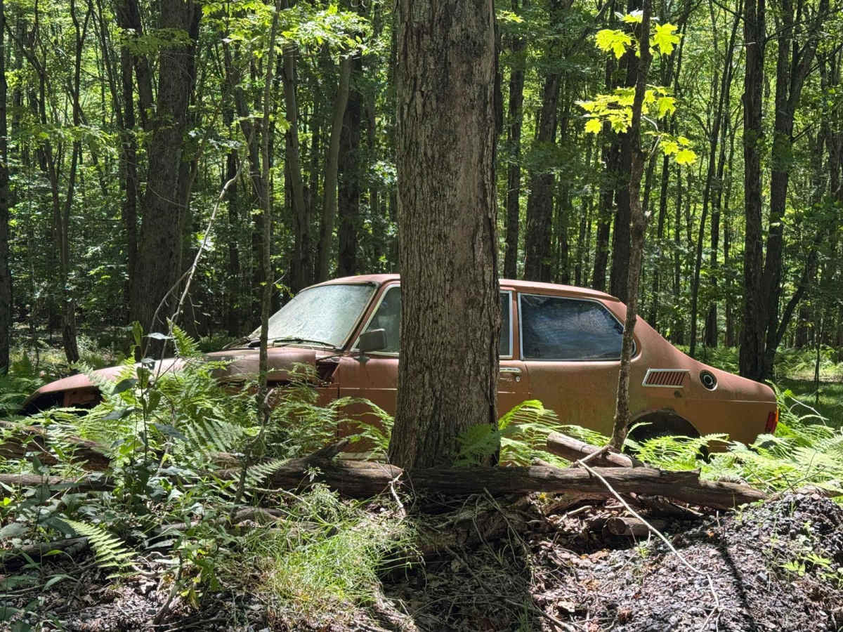Townsend Hollow Road photo 3