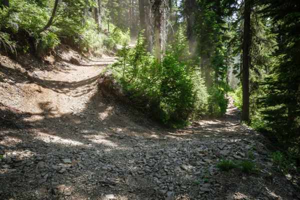 Lake Elsie ATV