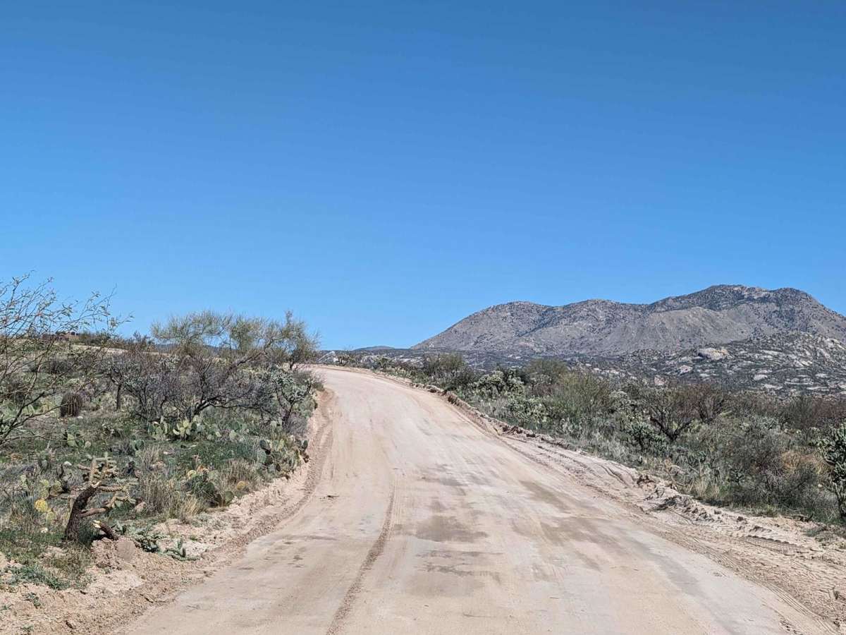 East Edwin Road photo 3
