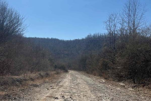 Trail 30 (Bear Branch)