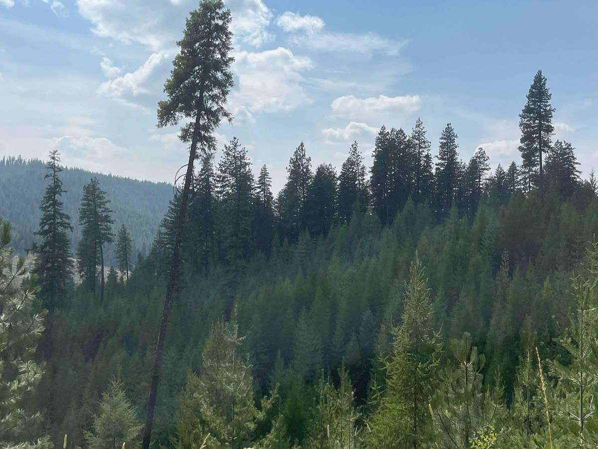 OHV Trail 8234 photo 5