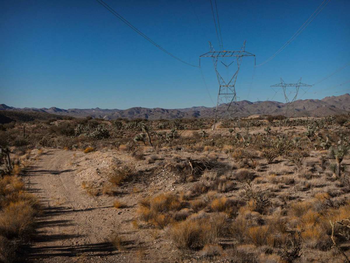 Another Powerline Road Too photo 5