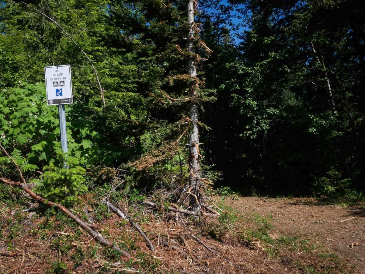 Tri Loop #111 photo 5