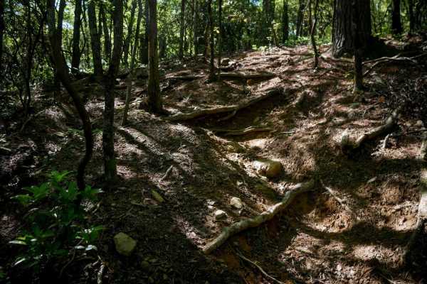 Enduro Trail