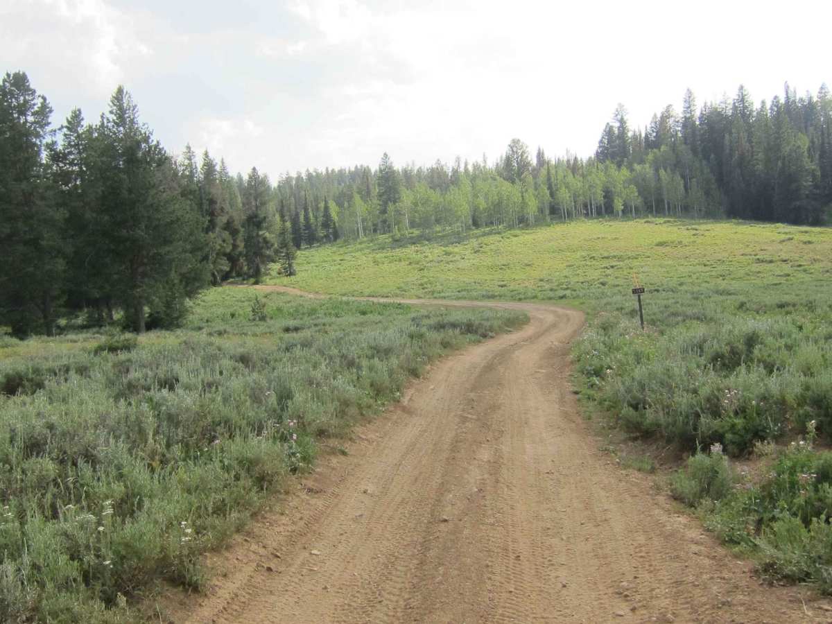 Big Creek Lake trail photo