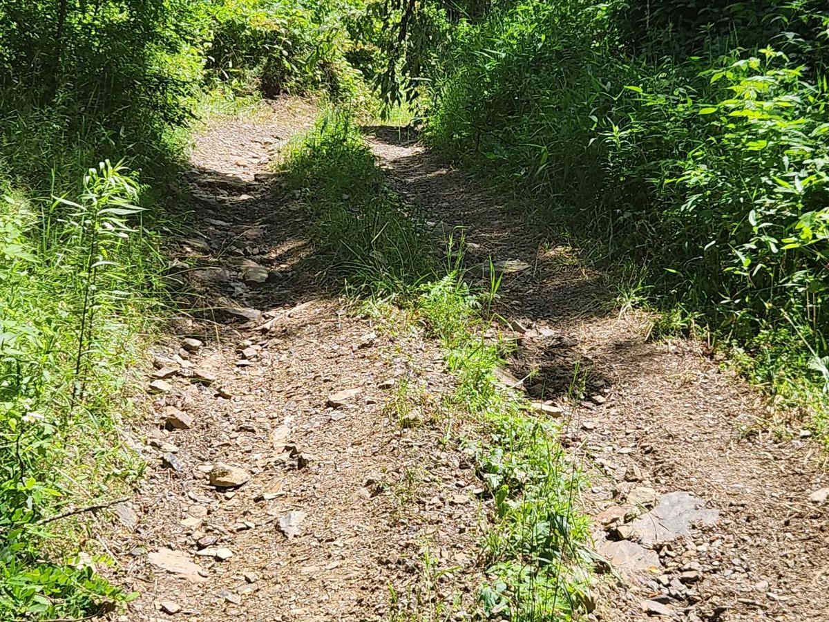 Trail 9B - Rock Run Recreation Area photo 4