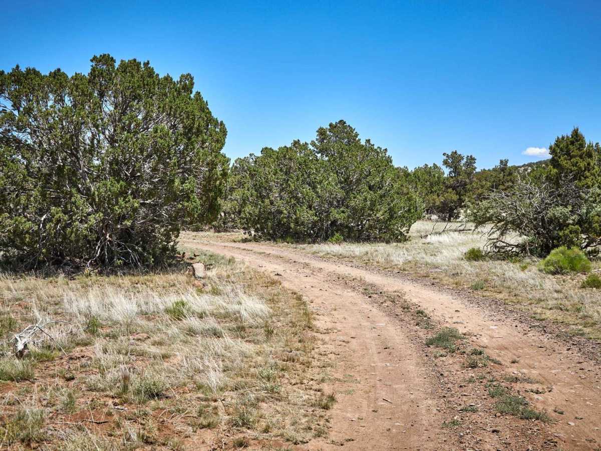 Indian Tank trail photo